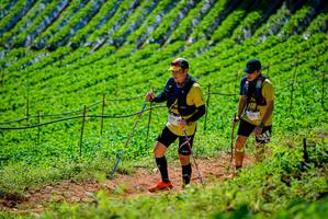 BIB: 163
                            <button type="button" onclick="openModal(19163660)" class="btn btn-primary btn-sm float-right btn-popup" data-toggle="modal" data-target=".modal-high-quality">
                        <i class="fas fa-shopping-cart"></i> Add to Cart
                    </button>
                                            <button type="button" onclick="isThisMe(19163660, true)" class="btn btn-success btn-sm float-right btn-popup btn-isme hidden" data-toggle="tooltip" data-placement="bottom" title="นี่คือรูปของคุณใช่ไหม คลิกที่นี่เพื่อเอาเข้าอัลบั้ม">
                        <i class="fas fa-plus"></i> Add to album
                    </button>
                    <button type="button" onclick="isThisMe(19163660, false)" class="btn btn-warning btn-sm float-right btn-popup btn-isnotme hidden">
                        <i class="fas fa-ban"></i> Remove from album
                    </button>